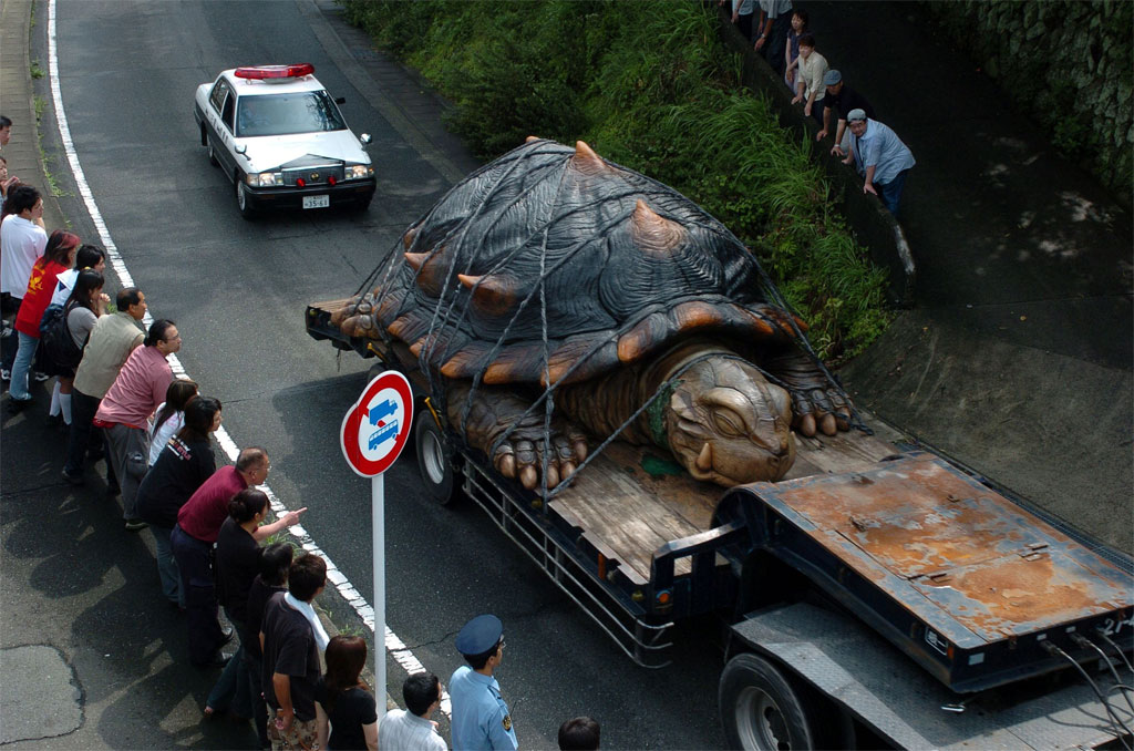 worlds largest tortoise found in amazon basin.jpg